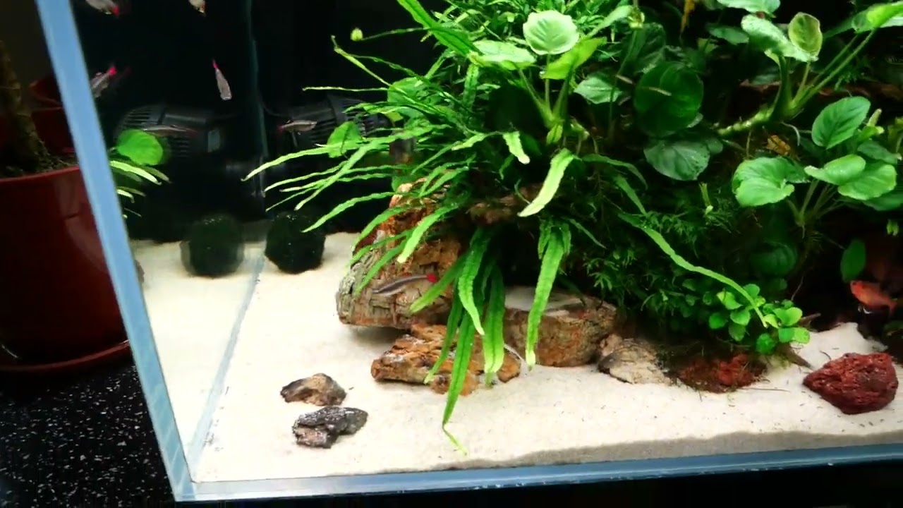 Akwarium 200 l. Opis hydroponiki