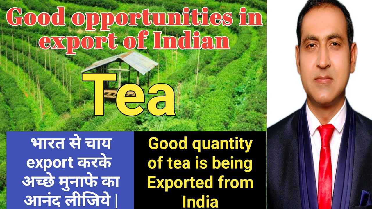 how to export tea from india/benefits of tea export from india