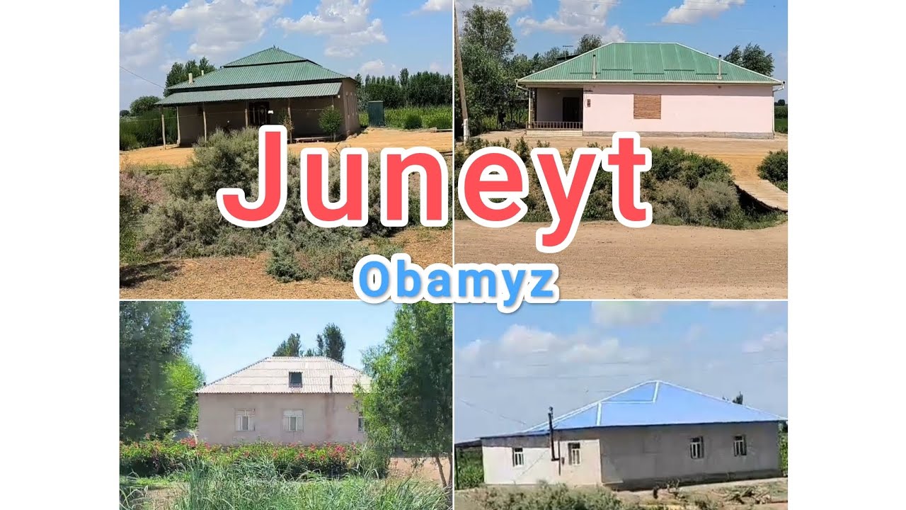 Juneyt oba sayohat
