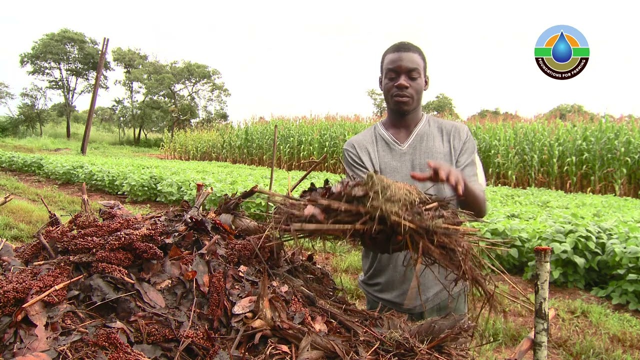 7. Compost Shona