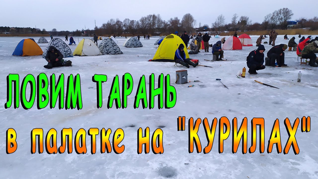 Рыбалка со льда - ловим тарань на Куриловском котловане