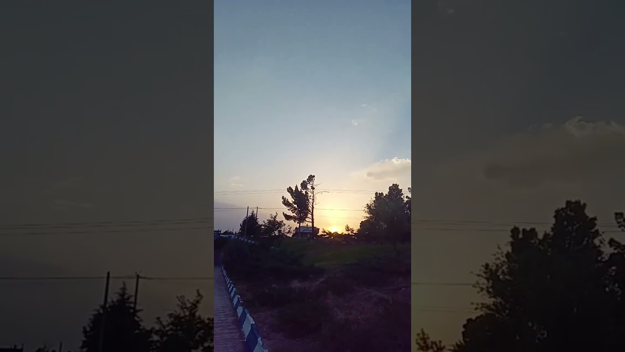 #iran #nature #persian #morning #walking #sunrise #persia #peace #life #live #pinetree #green #tree