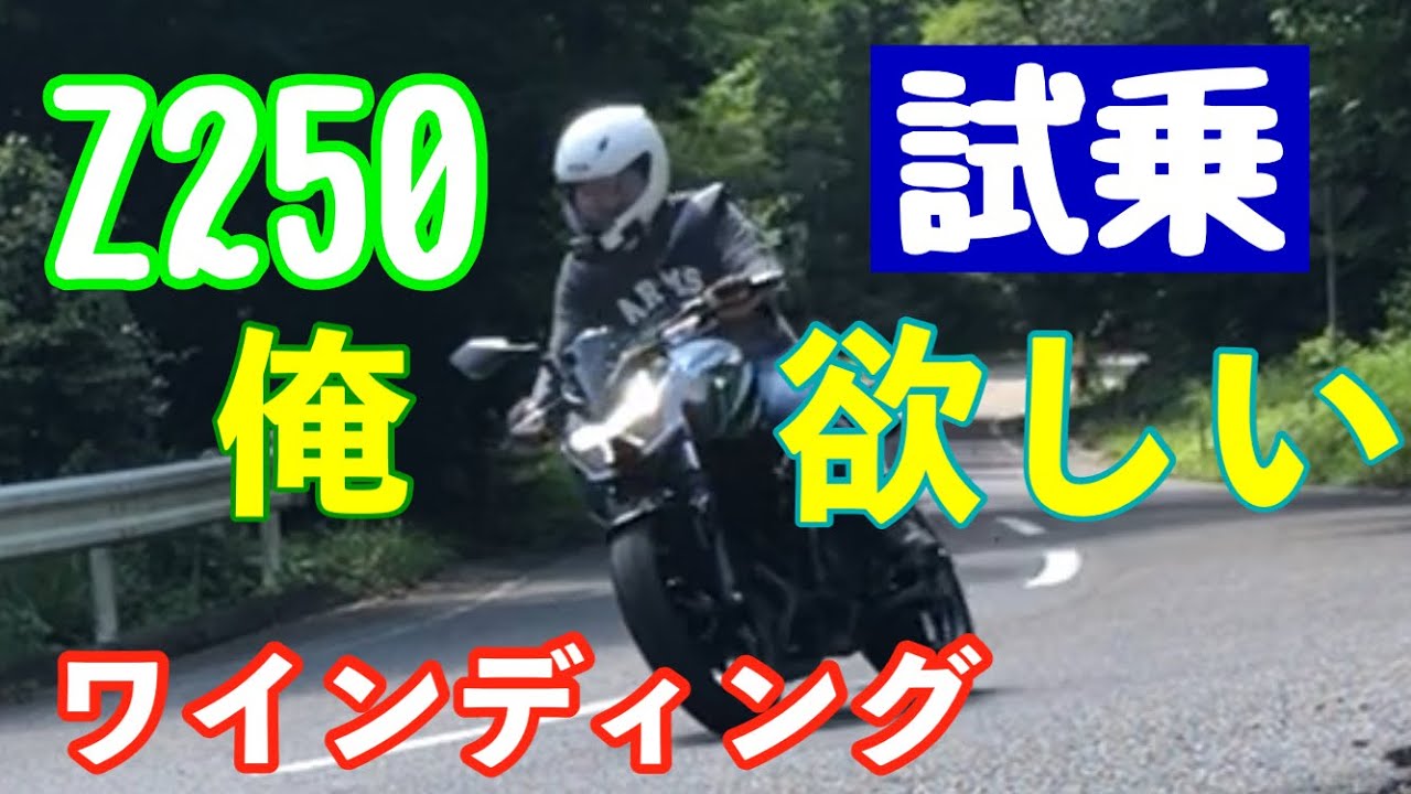 【Z250】【超絶おすすめ２５０ｃｃバイク】インプレッション後編（峠道）