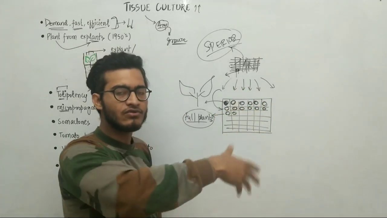L19: Plant Tissue Culture by Vipin Sharma