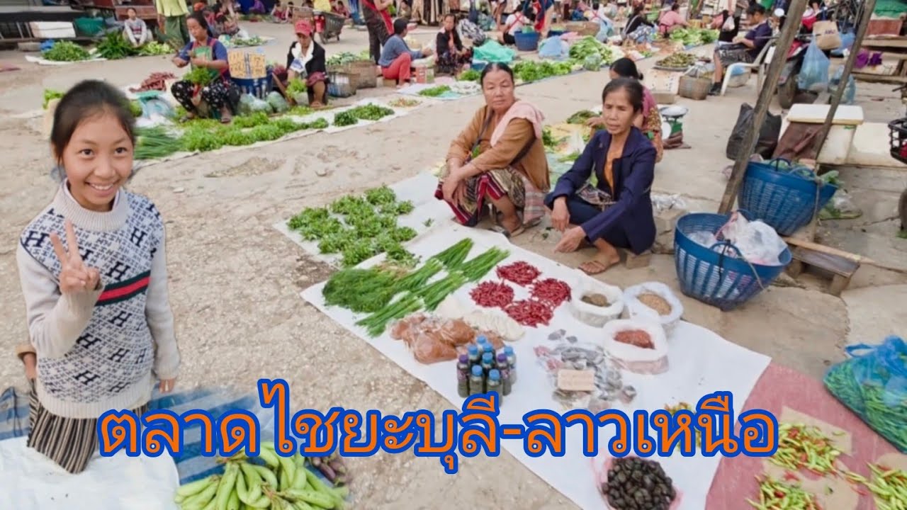 #เที่ยวลาว #ลาวเหนือ แขวงไชยะบุลี #อาหารพื้นบ้าน อาหารแปลกๆ #บรรยากาศ มาเป็นครั้งแรก#food #สาวลาว