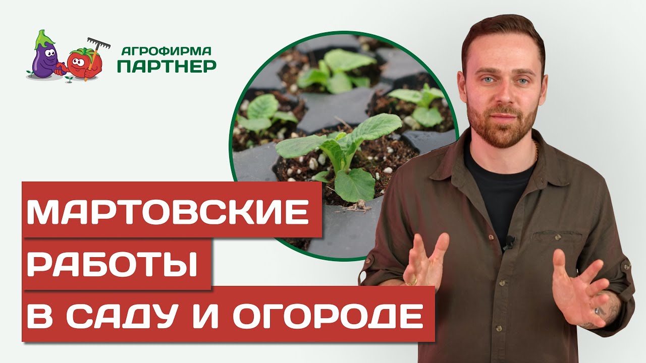 ВАЖНЫЕ РАБОТЫ В МАРТЕ. ГОТОВИМСЯ К ОГОРОДНОМУ СЕЗОНУ!