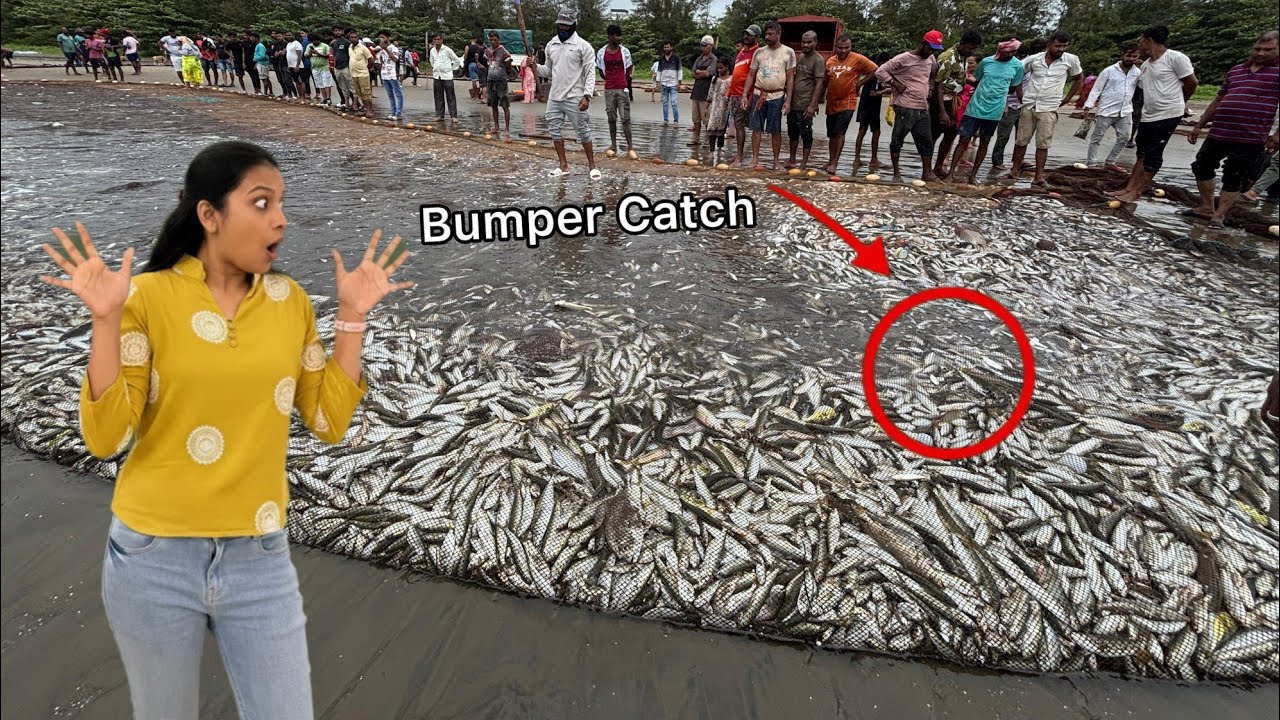 😱 Amazing! Most Unexpected Fishing Moment Ever Caught on Camera | ऐसा नज़ारा पहले कभी नहीं देखा