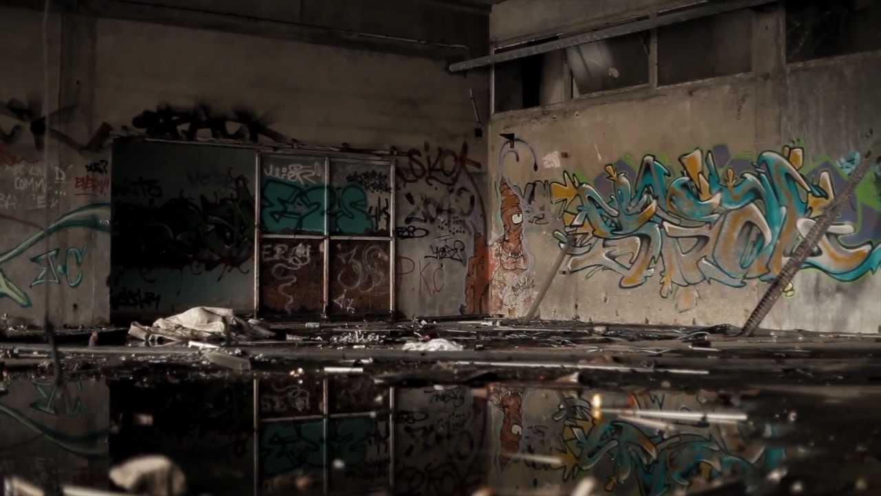 Slaughterhouses // The walls are talking