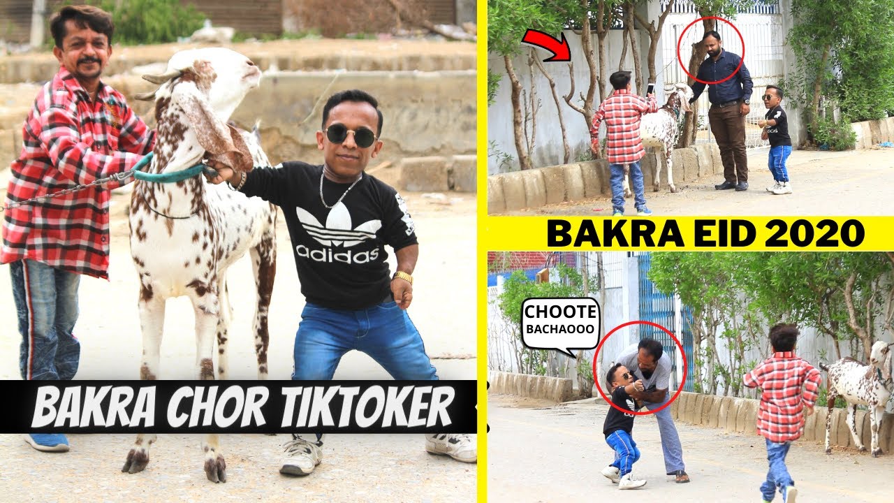 BAKRA CHOR TIKTOKER PRANK | BAKRA EID PRANK 2020 | NEW TALENT