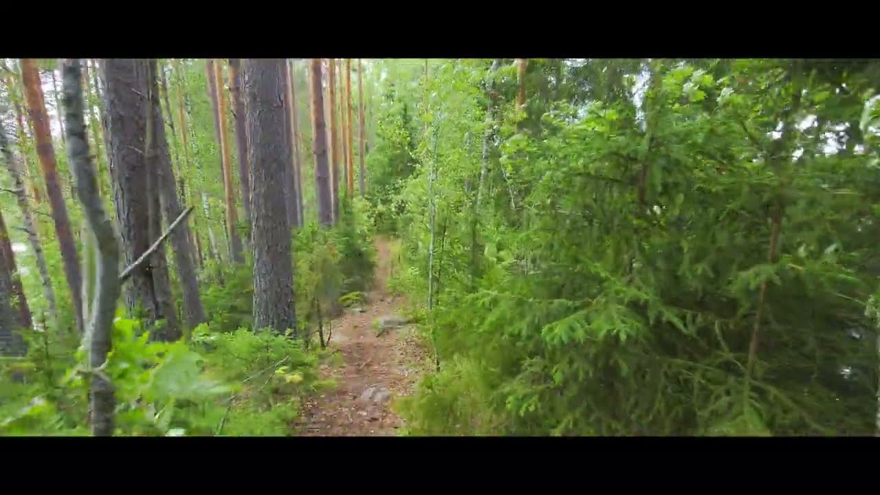 Saaren kansanpuisto, Tammela Finland 2023