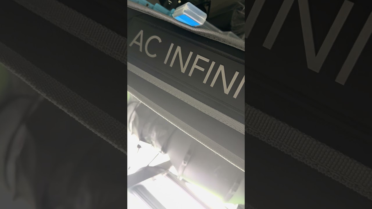 🌱 Growing 6 Plants with AC Infinity AI+ Grow Tent 🌱 - ETA 10-22-2025