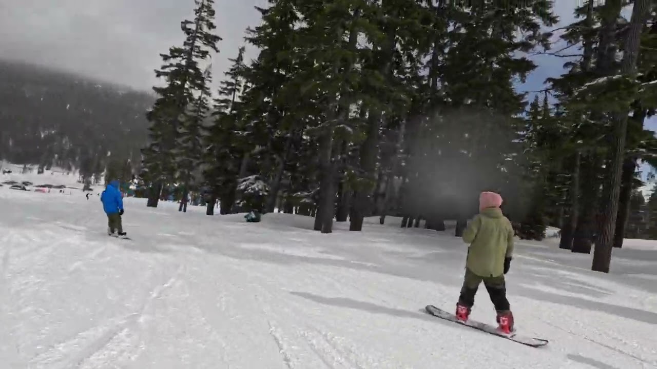 EURO CARVE