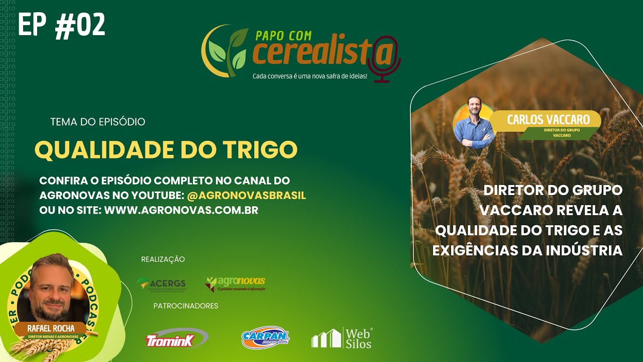 QUALIDADE DO TRIGO GA&Uacute;CHO