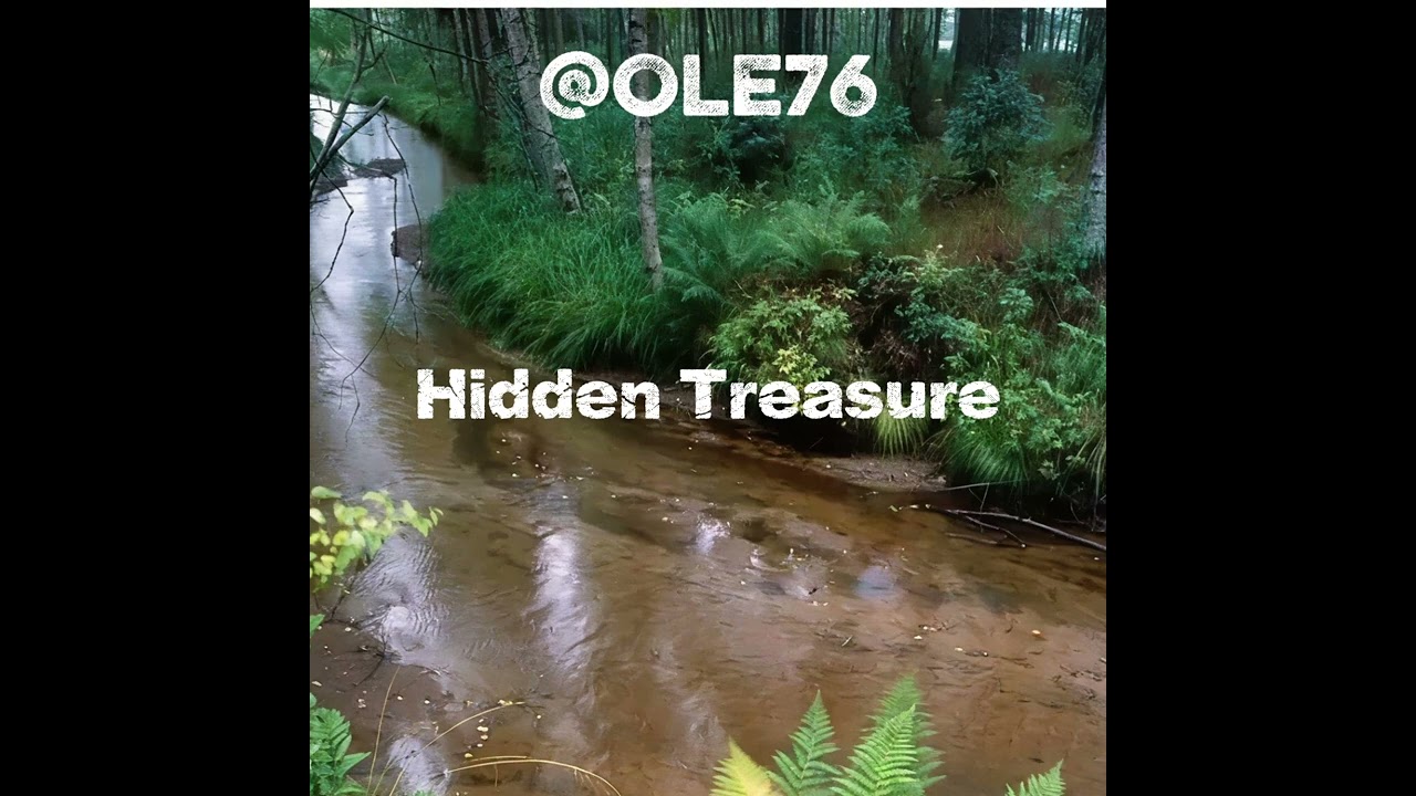 @Ole76 Hidden Treasure