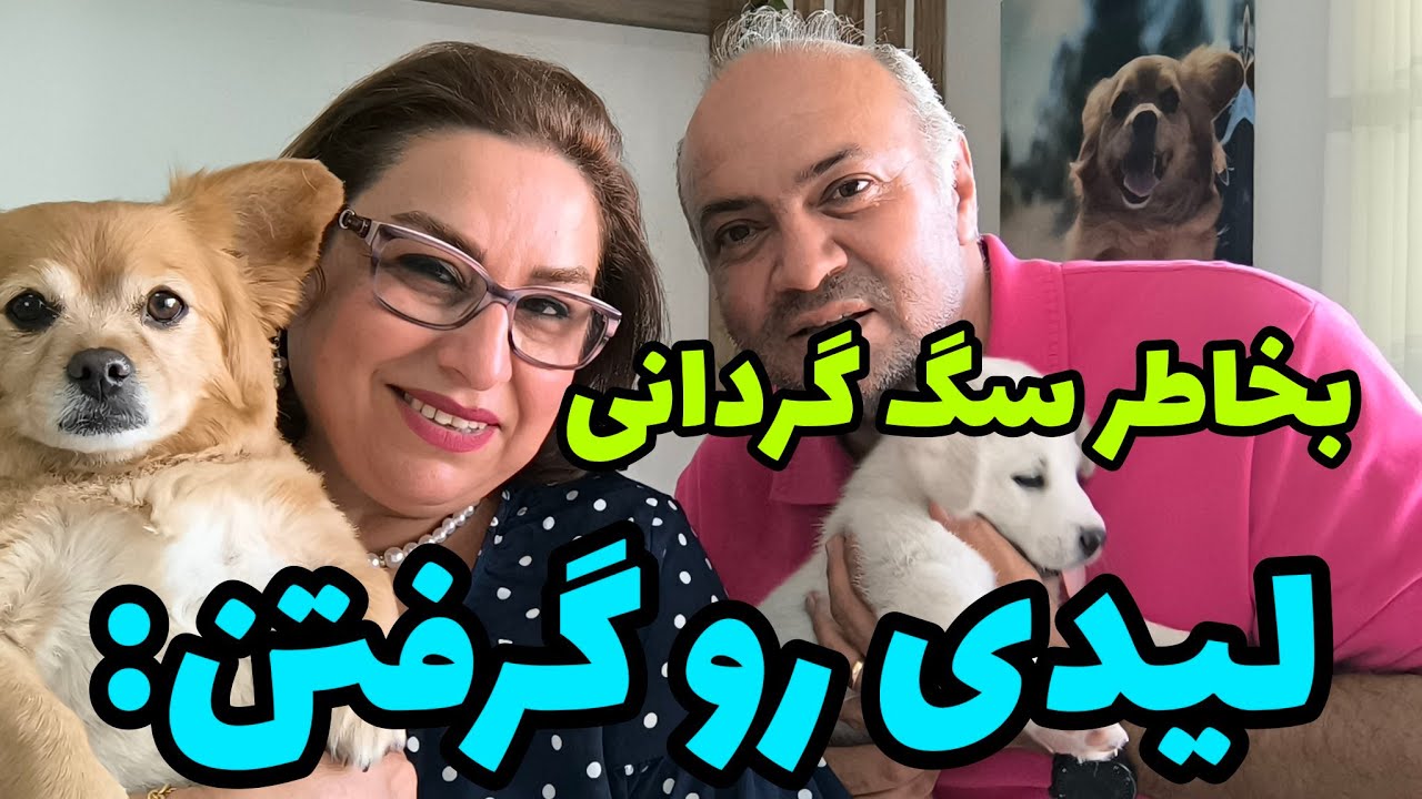 رفتیم تهران داروهارو بگیریم لیدی رو گرفتن 🐕‍🦺🐾🐕🐾#dogs #puppy