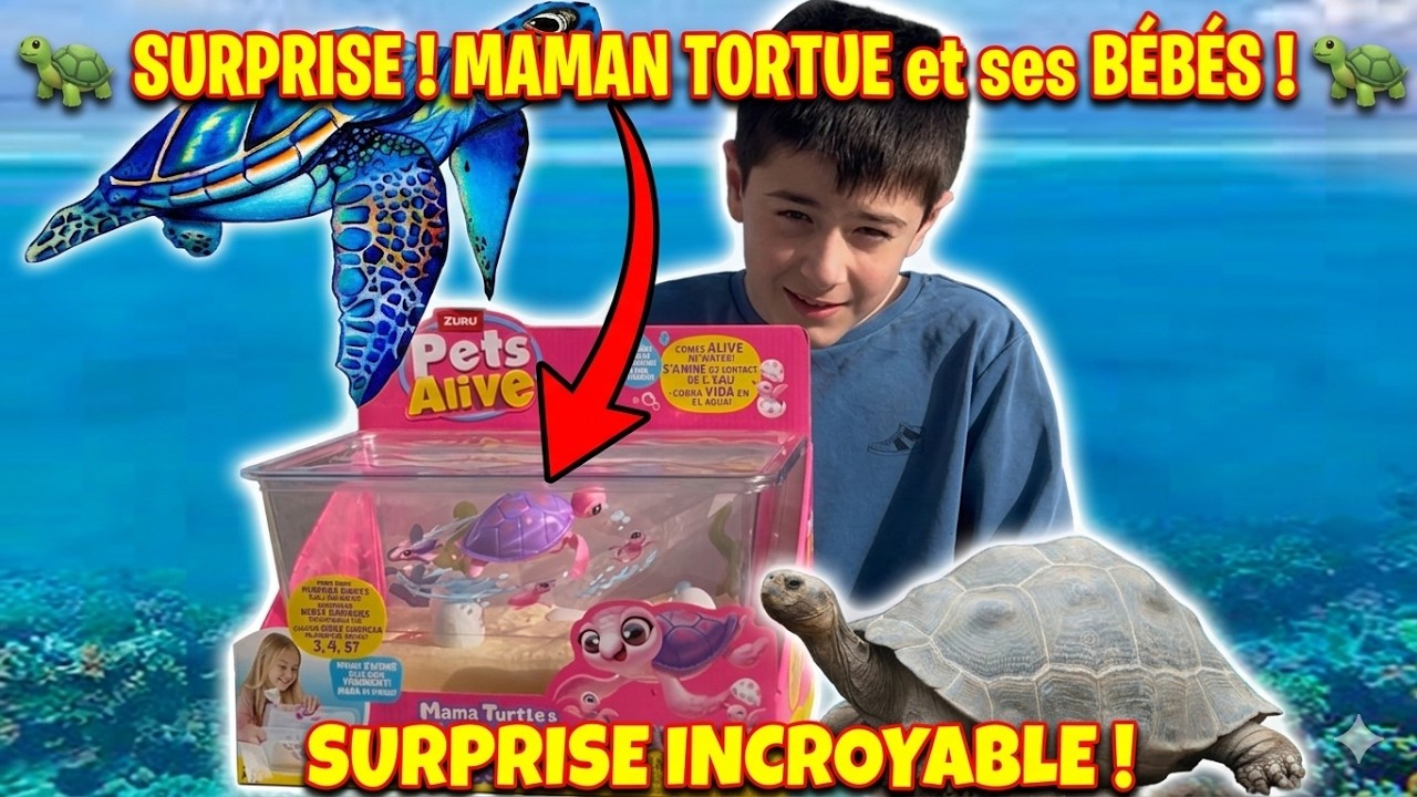 DES TORTUES POUR MAËL ! Pets Alive maman tortue