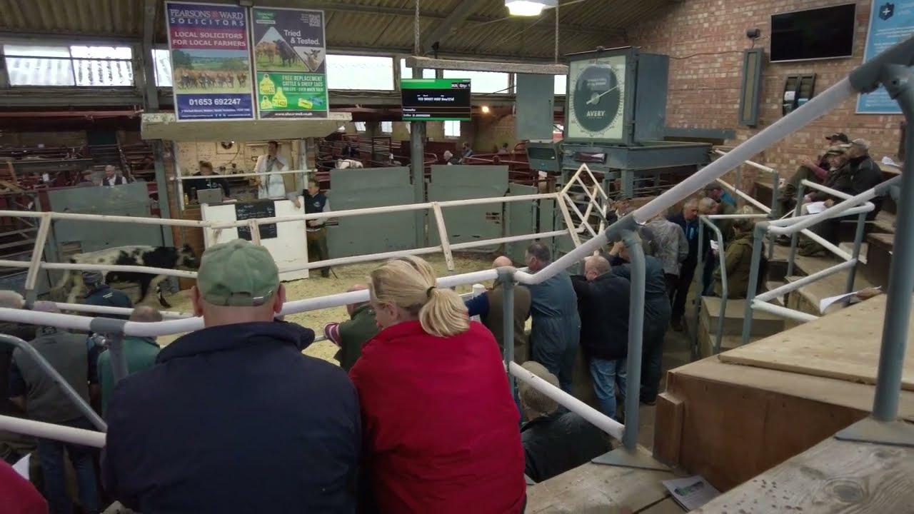 Malton market special stores sale October 7th 2022