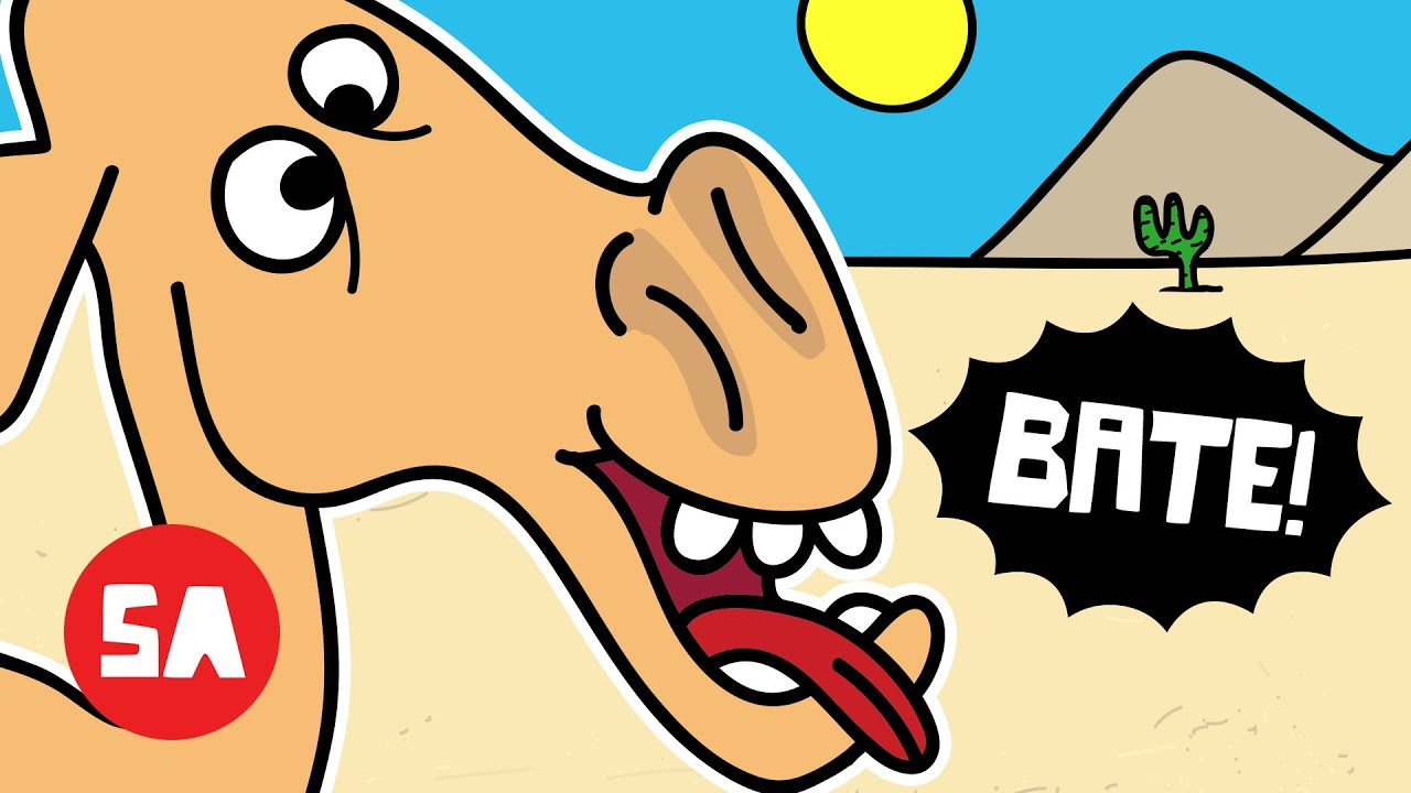 The Struggle Is Real — IRISH Camel Can’t Take It Anymore! (BREAKING POINT) | Sminky Shorts: Camel