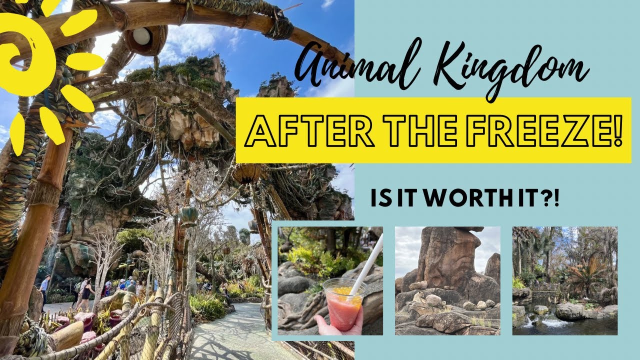 Animal Kingdom After the 2026 Freeze ❄️ | Safari + Pandora + Na’vi Pretzel & Night Wraith Drink