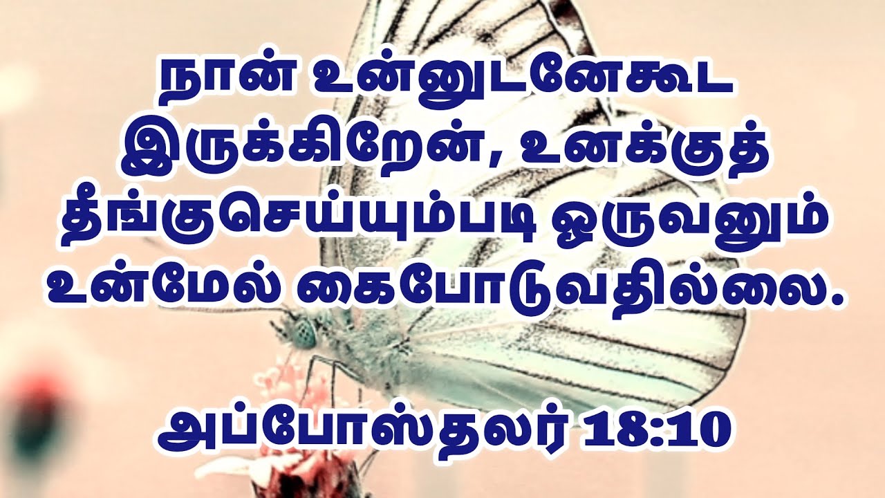 I am with you and no one will attack you | இன்றைய ஜீவ மன்னா | Gideons Ministries | #bibleverse #love