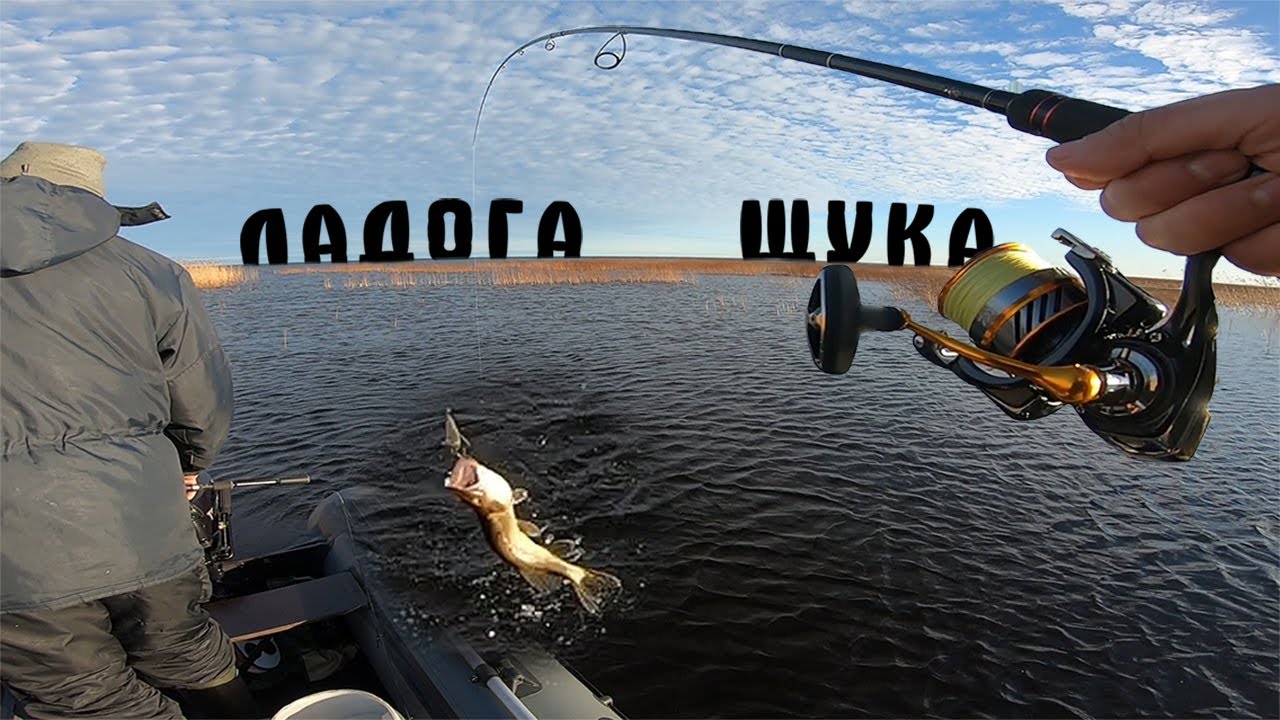 Ловля щуки осенью / Ладога 2020