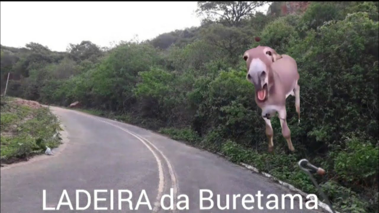 Ep 24 ) INVERNO BOM NO NOSSO  CEARÁ. BURETAMA..SERRA DOS COTÊR.PARAMBU  CE.