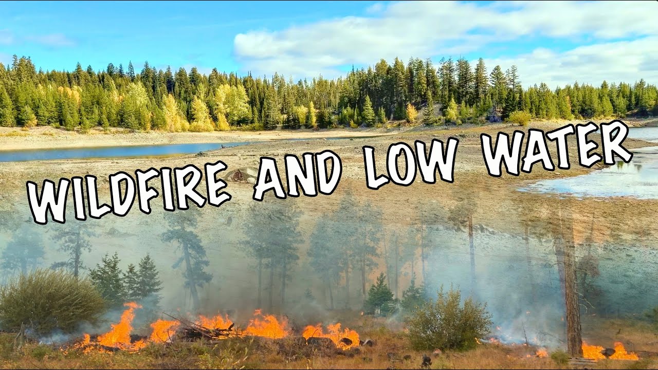 Wildfire and Low Water