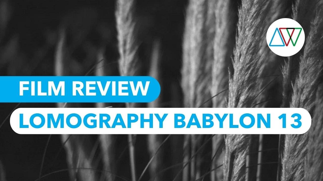 Lomography Babylon Film Review - 'Blushing Lovers'