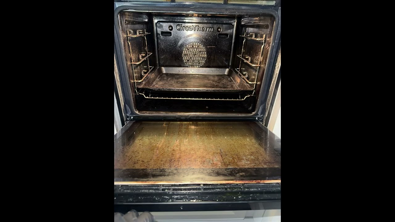Satisfying Carpet & Oven Cleaning Transformations | Amazing Before & After Results