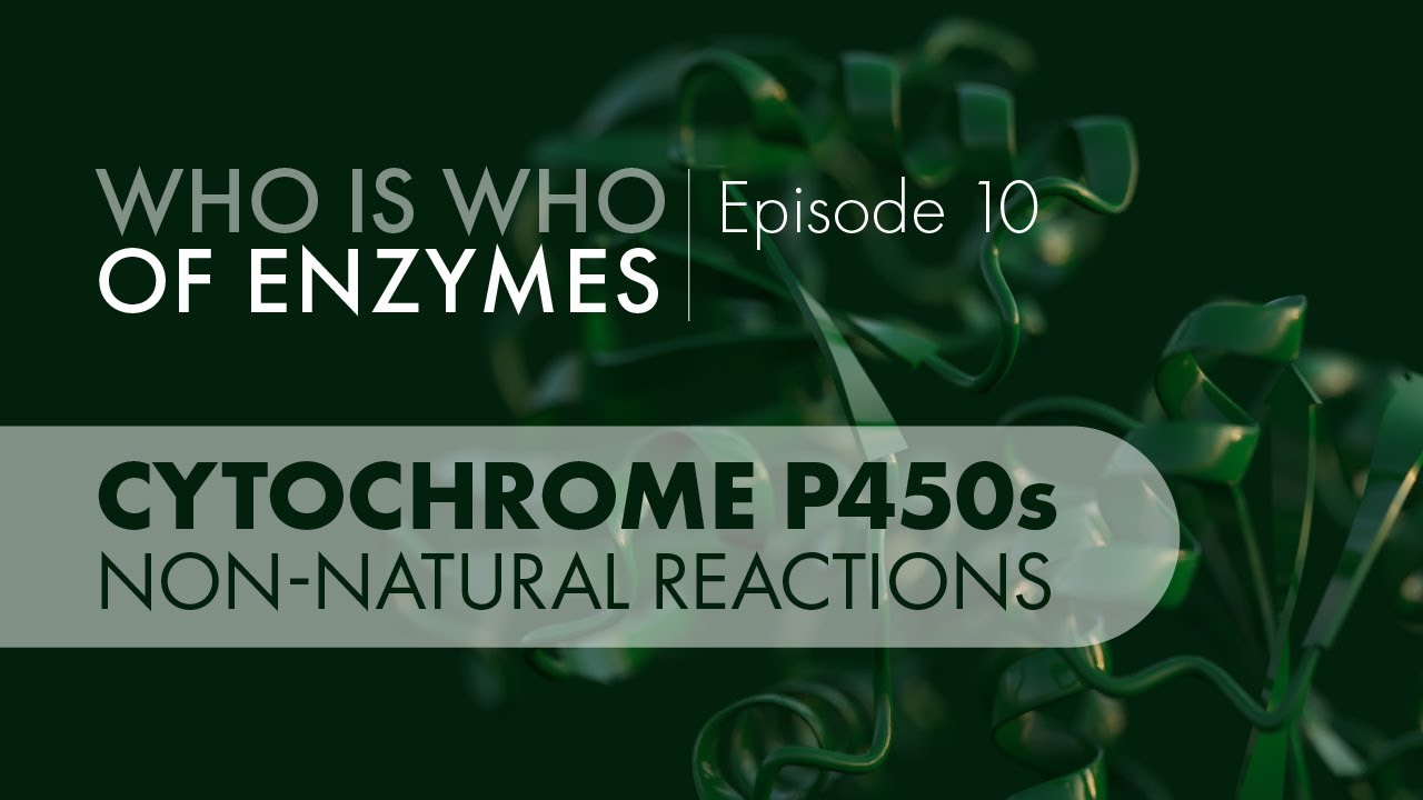 Who Is Who of Enzymes: Cytochrome P450 Monooxygenases (Non-natural Reactions)