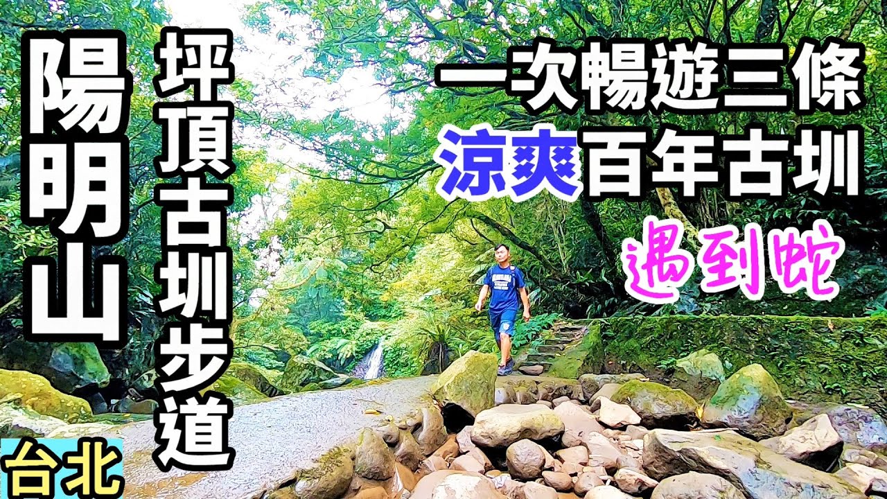 【夏季超涼爽親水步道 | 陽明山坪頂古圳步道】一次暢遊三條百年以上古圳，步道大多沿著水圳而行，有綠樹遮蔭，非常涼爽，還可以玩水。拍攝時在水圳路遇到蛇 | 坪頂古圳、坪頂新圳、登峰圳 |陽明山、台北景點