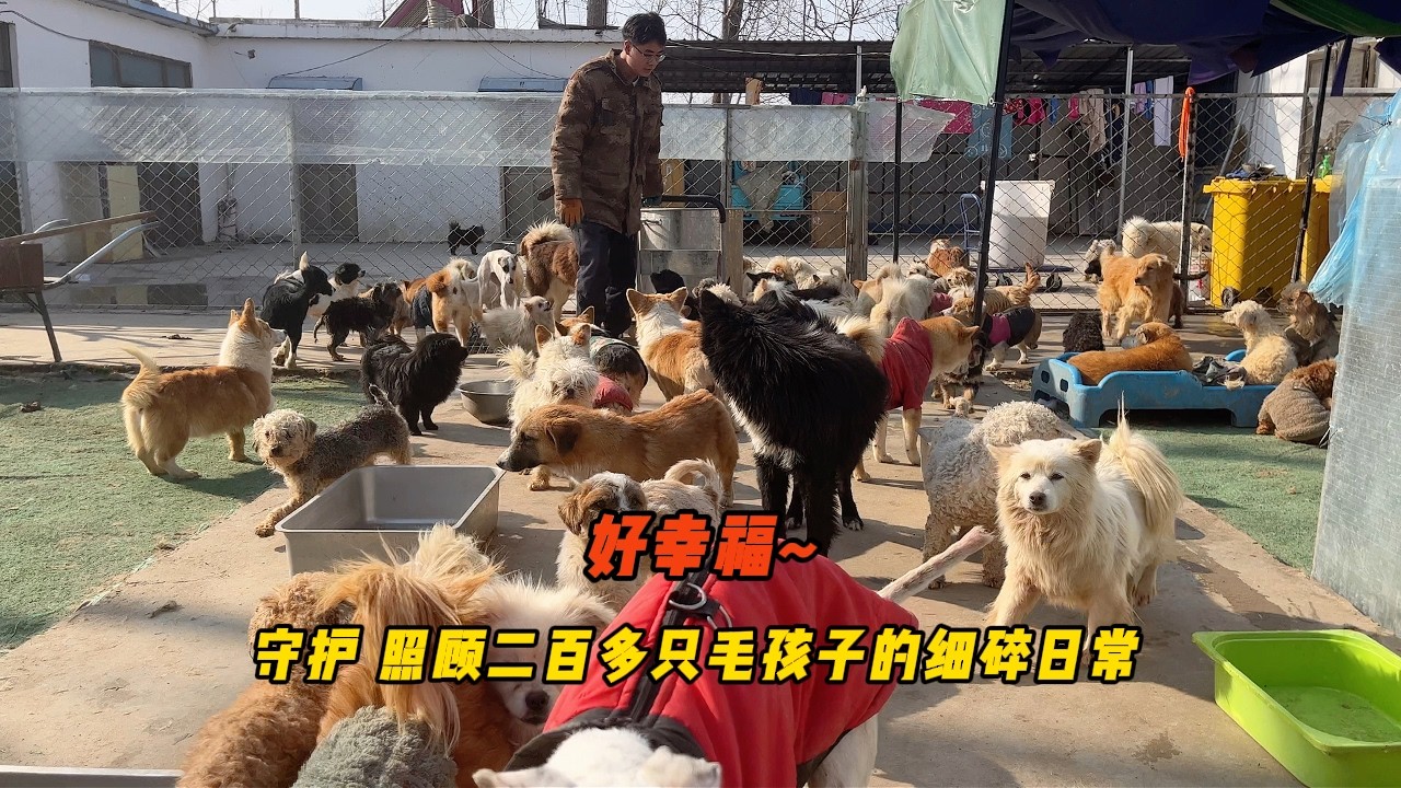 與毛孩們相伴的時光滿是溫暖，縱使身體精疲力盡也能被溫柔治癒！
