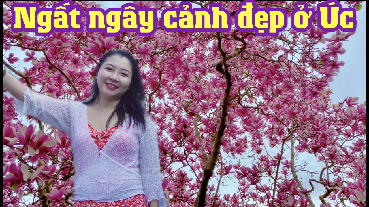 M&Ugrave;A XU&Acirc;N Ở &Uacute;C | NHẠC THƯ GI&Atilde;N | CHAU RICHES - CUỘC SỐNG &Uacute;C
