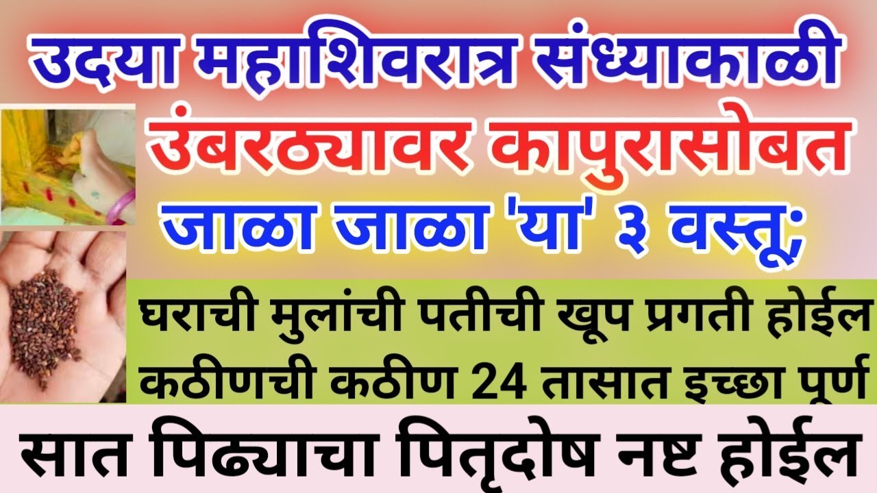  महाशिवरात्र संध्याकाळी उंबरठ्यावर कापुरासोबत जाळा जाळा 'या' 3 वस्तू मुलांची पतीची खूप प्रगती होईल 