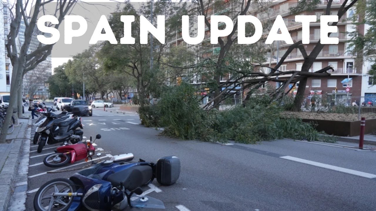 Wind Storm Chaos in Catalonia: Barcelona Flights Grounded and Rail Services Cut - Spain news update