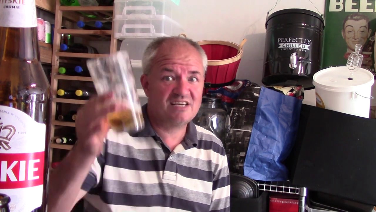Lager - Tyskie - Premium Polish Lager Beer - Review #1371
