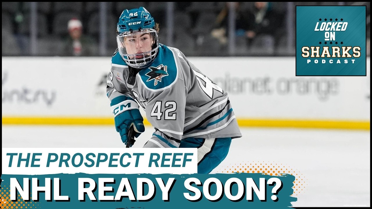 PROSPECT REEF: Barracudas&rsquo; Luca Cagnoni Facing Power Play Regression or Just Bad Luck this SEASON?