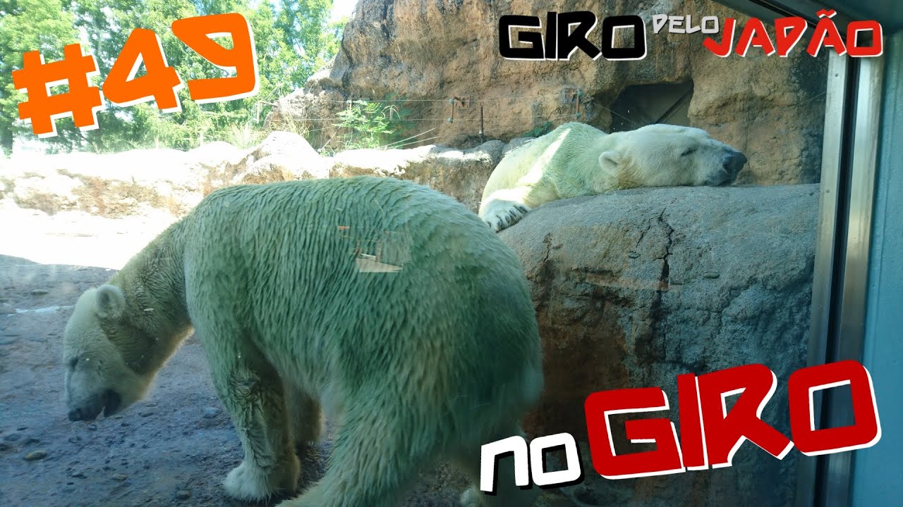 ZOOL&Oacute;GICO NON HOI PARK TOYOHASHI