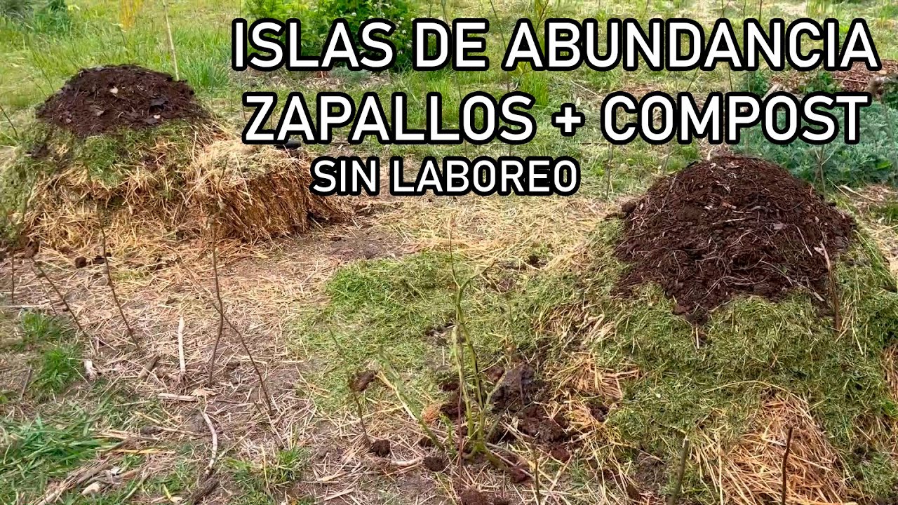 ISLAS de ABUNDANCIA & ZAPALLOS SIN LABOREO - Permacultura & Compost