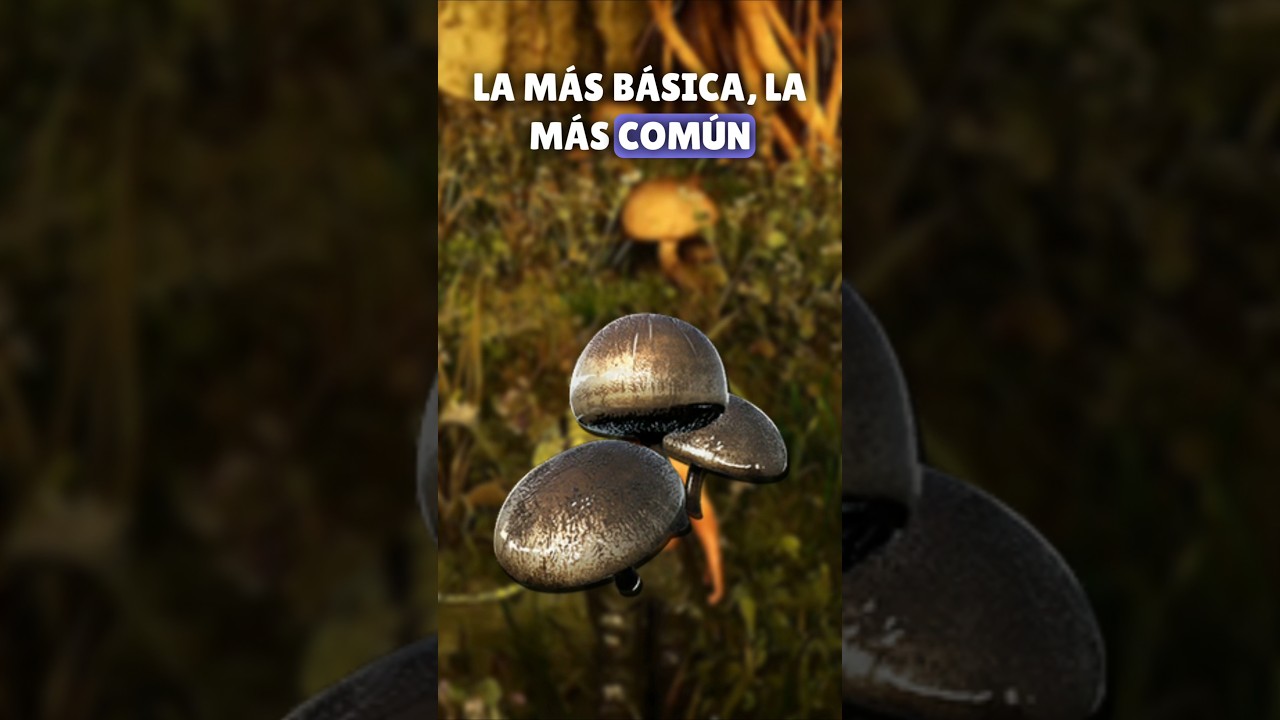 Todas las setas de ABERRATION y como usarlas bien ARK Survival Ascended #arkascended #lavelociblue