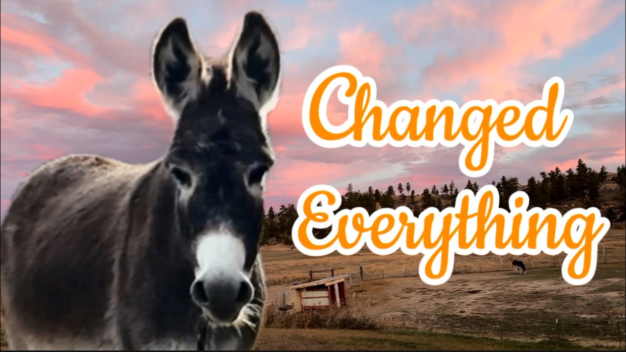 One Choice Changed Everything on the Farm