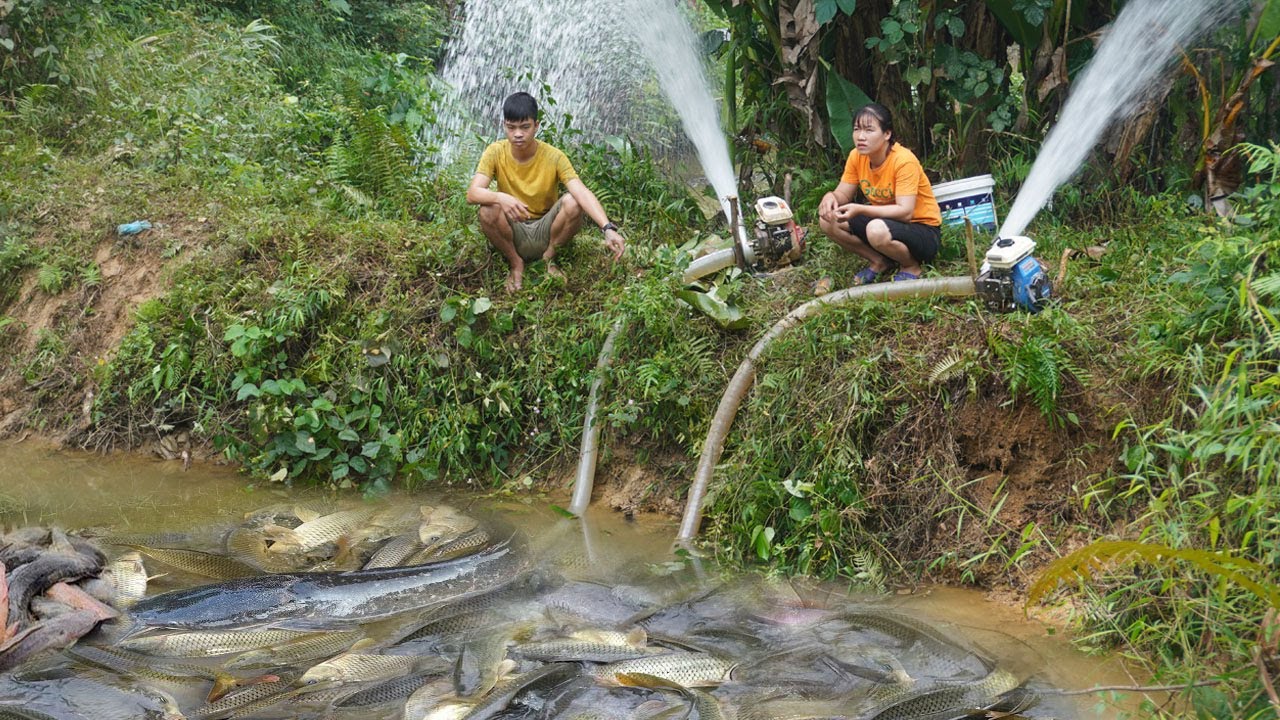 Top video unique fishing - Modern technology Use two large capacity pump Harvesting fish to sell