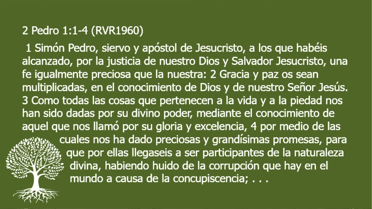 Una Vida Piadosa