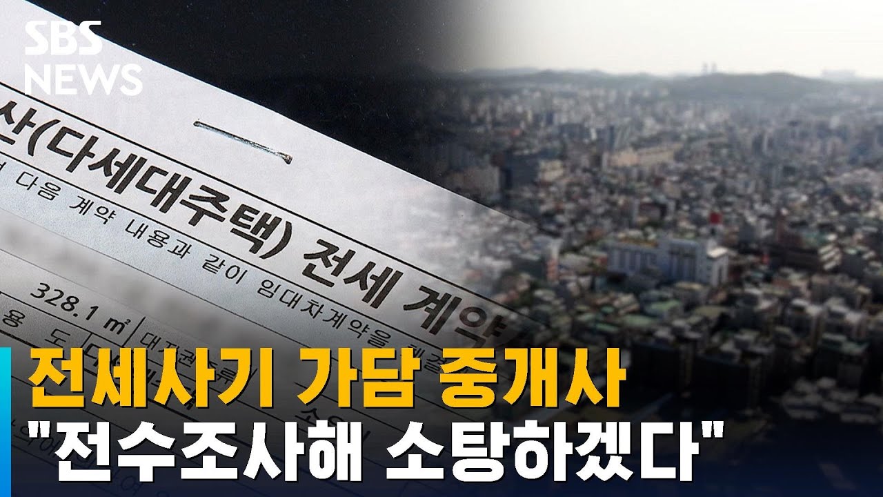 전세사기 가담 중개사 전수조사&hellip;적발 시 '자격 취소' / SBS