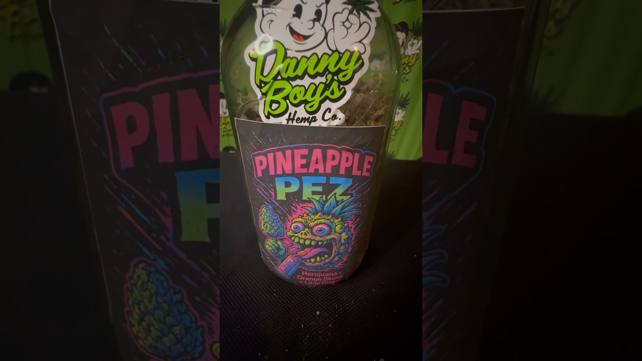 Meet the breathtaking Pineapple Pez! 🤤 Your daily dose of visual perfection... #nowyouknow