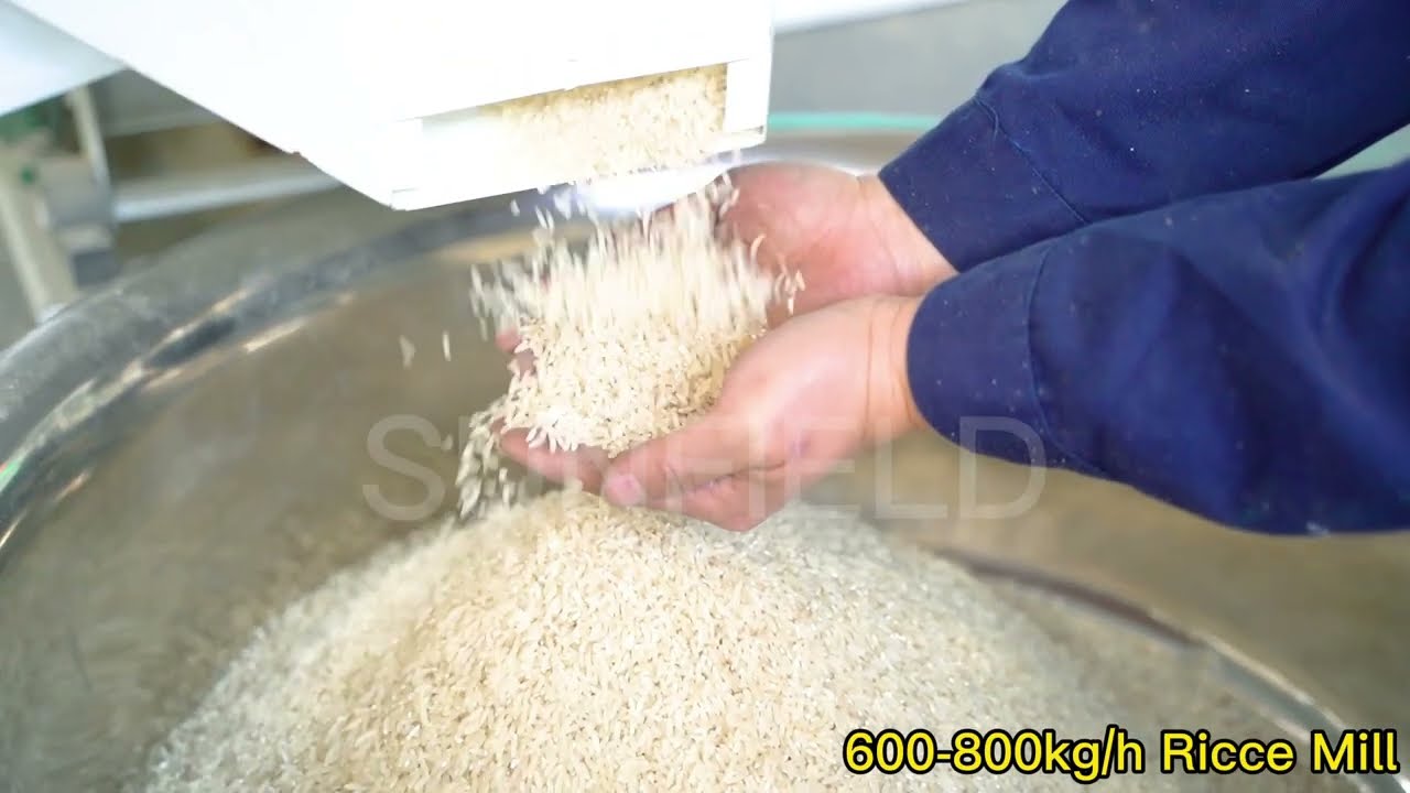 How the Grain Processing to Rice?