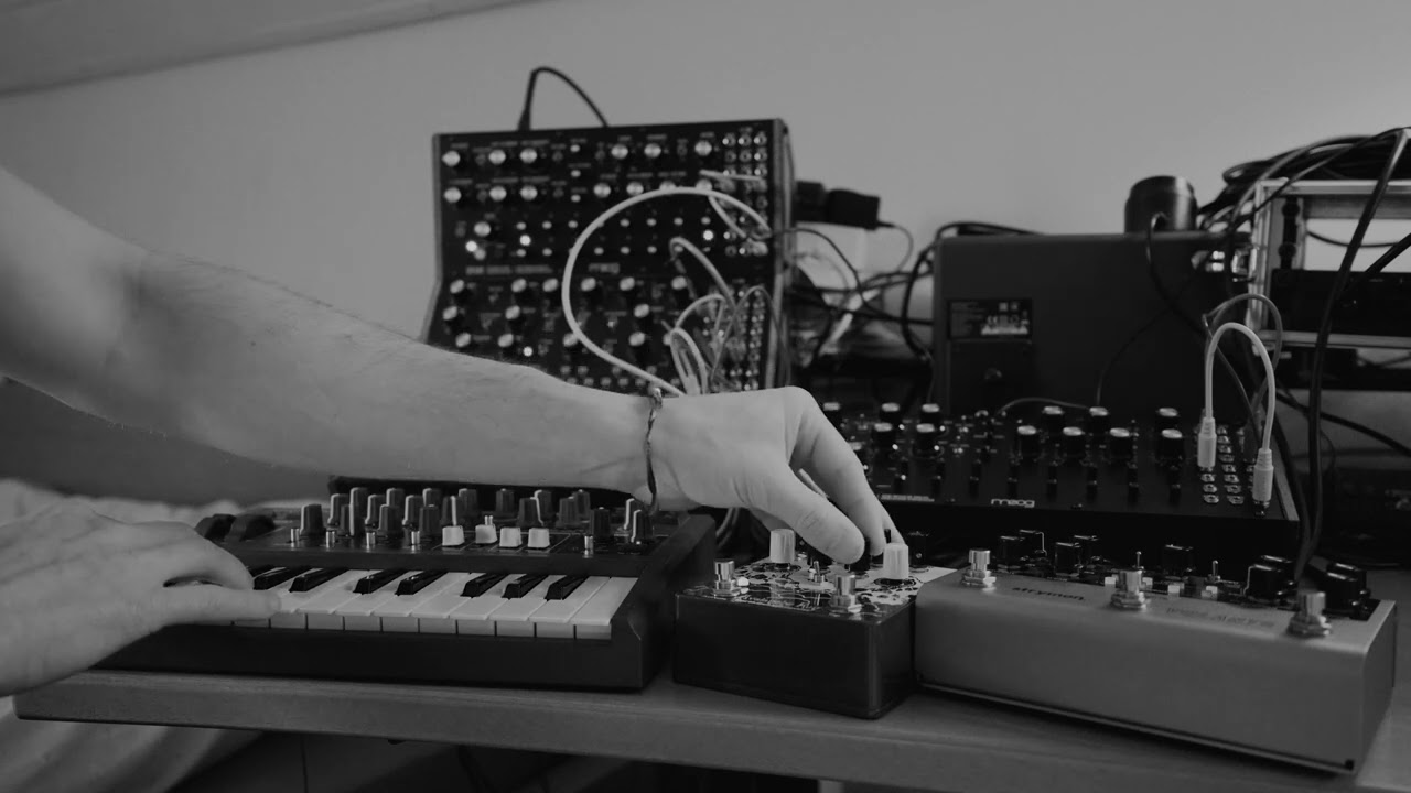 Nouveau Dans Le Noir - live melodic techno /w Moog Sound Studio 3 and DFAM