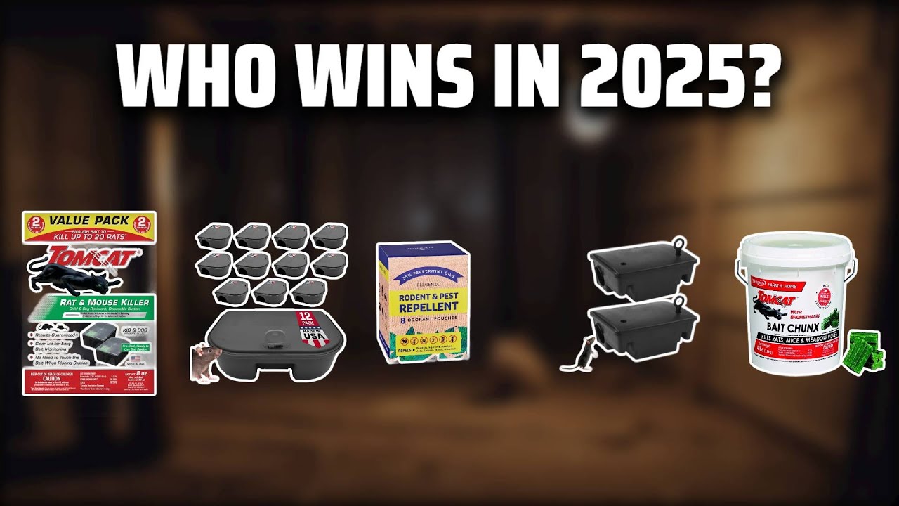 The Top 5 Best Rat Poison in 2025 - Must Watch Before Buying!