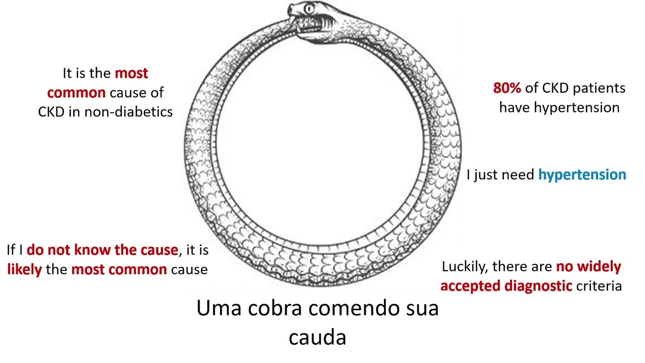 Envejecimiento Renal