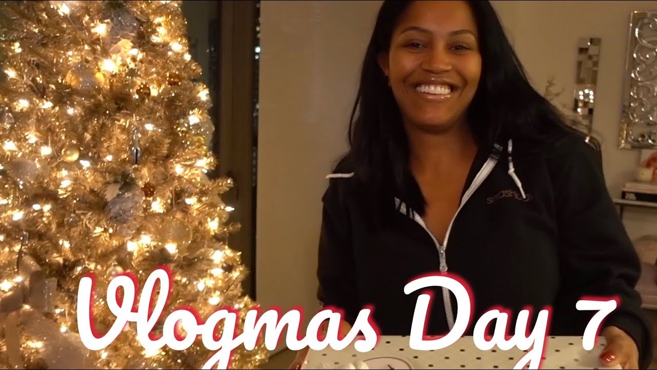 Vlogmas 2017 Day 7: 12 Questions with Les | MakeupShayla